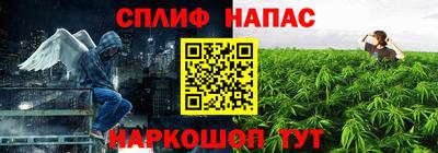 стафф Краснодар