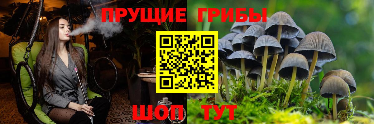 закладка  Псилоцибиновые грибы Psilocybe  Казань  Вход с VPN  Псилоцибиновые грибы MAGIC MUSHROOMS 